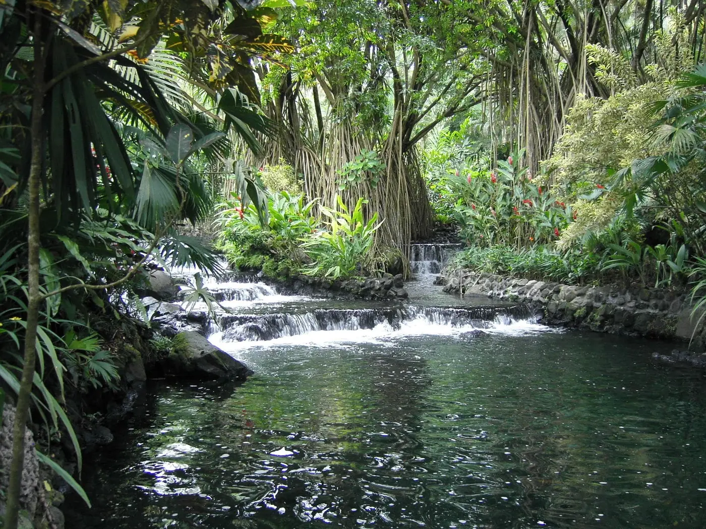 Warm river cascading into a jungle pool at Tabacón Thermal Resort near Arenal