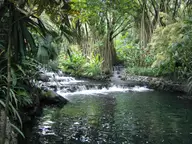 Warm river cascading into a jungle pool at Tabacón Thermal Resort near Arenal