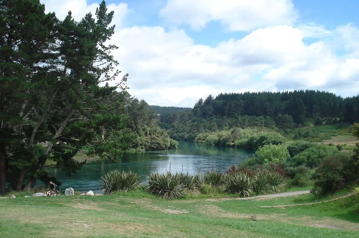 Grassy bank of Spa Thermal Park above the Waikato River with forested hills beyond