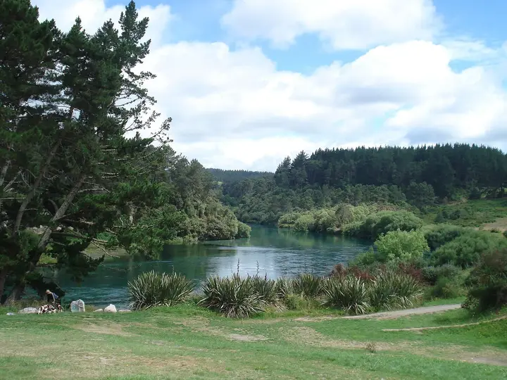 Grassy bank of Spa Thermal Park above the Waikato River with forested hills beyond