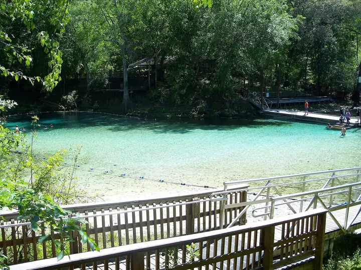 Turquoise swimming area at Fanning Springs seen from a wooden boardwalk under shady trees