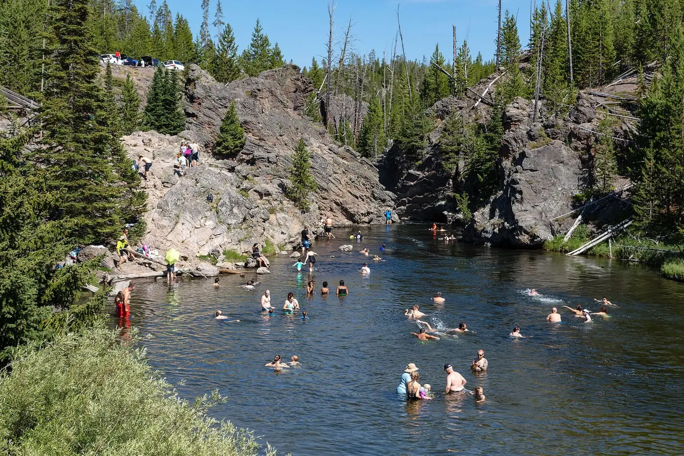 Firehole Swim Area in a rocky rhyolite canyon of the Firehole River lined with pines