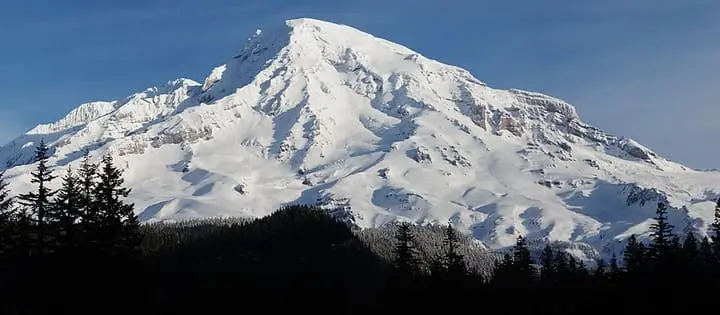 Snowy Mount Rainier rising above dark forest in a morning panorama from Longmire