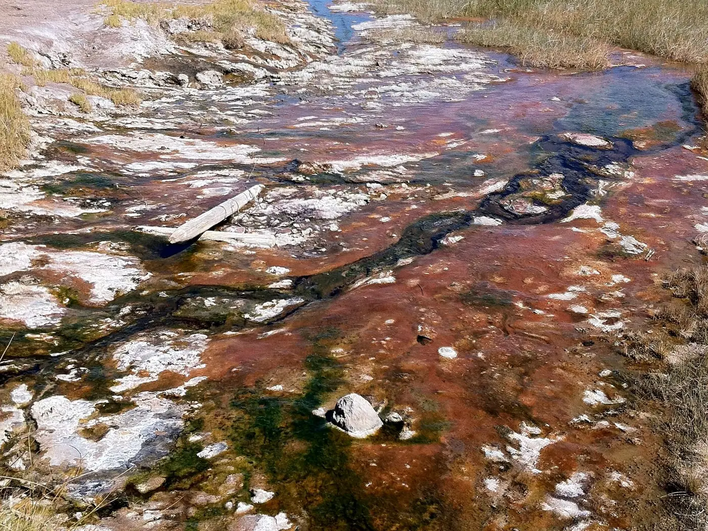 Mineral stained runoff channel from Alvord Hot Springs crossing grassland toward distant desert mountains
