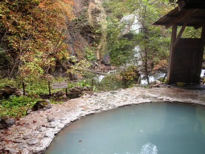 Milky blue open air public bath of Shirahone Onsen ringed by stones and autumn trees