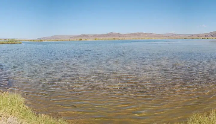 Wide panorama of shallow Borax Lake ringed by grass under a clear sky in the Alvord Basin