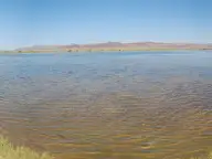 Wide panorama of shallow Borax Lake ringed by grass under a clear sky in the Alvord Basin