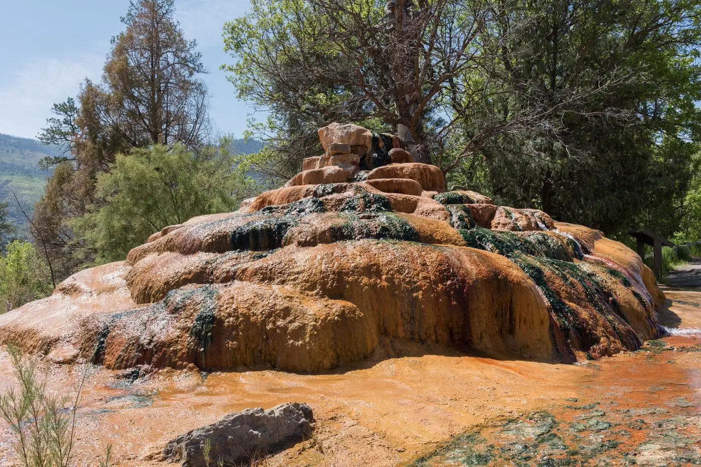 Orange and green mineral mound of Pinkerton Hot Springs among pine trees north of Durango