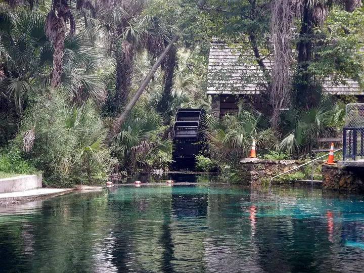 Clear blue Juniper Springs pool with stone walls and the old wooden mill house among palms