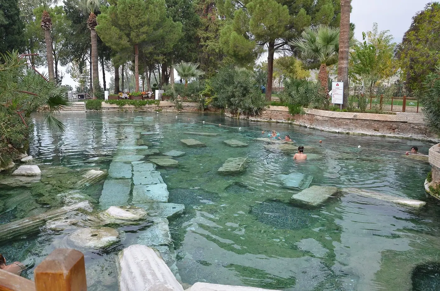 Clear green water of Cleopatra's Pool at Hierapolis with sunken marble columns and pine trees