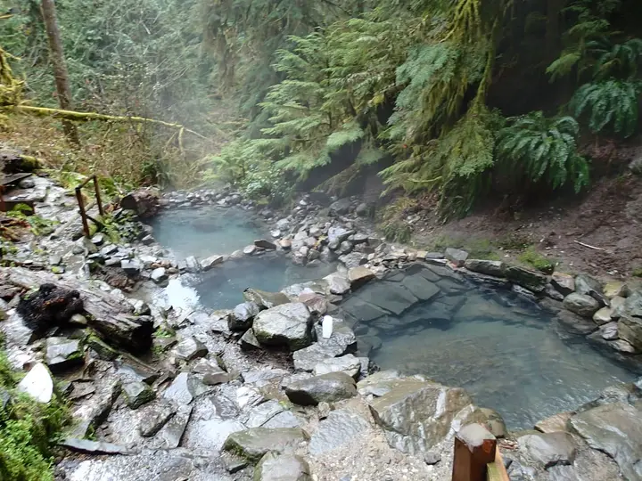 Steaming stone walled pools of Terwilliger Hot Springs in a mossy fern filled ravine