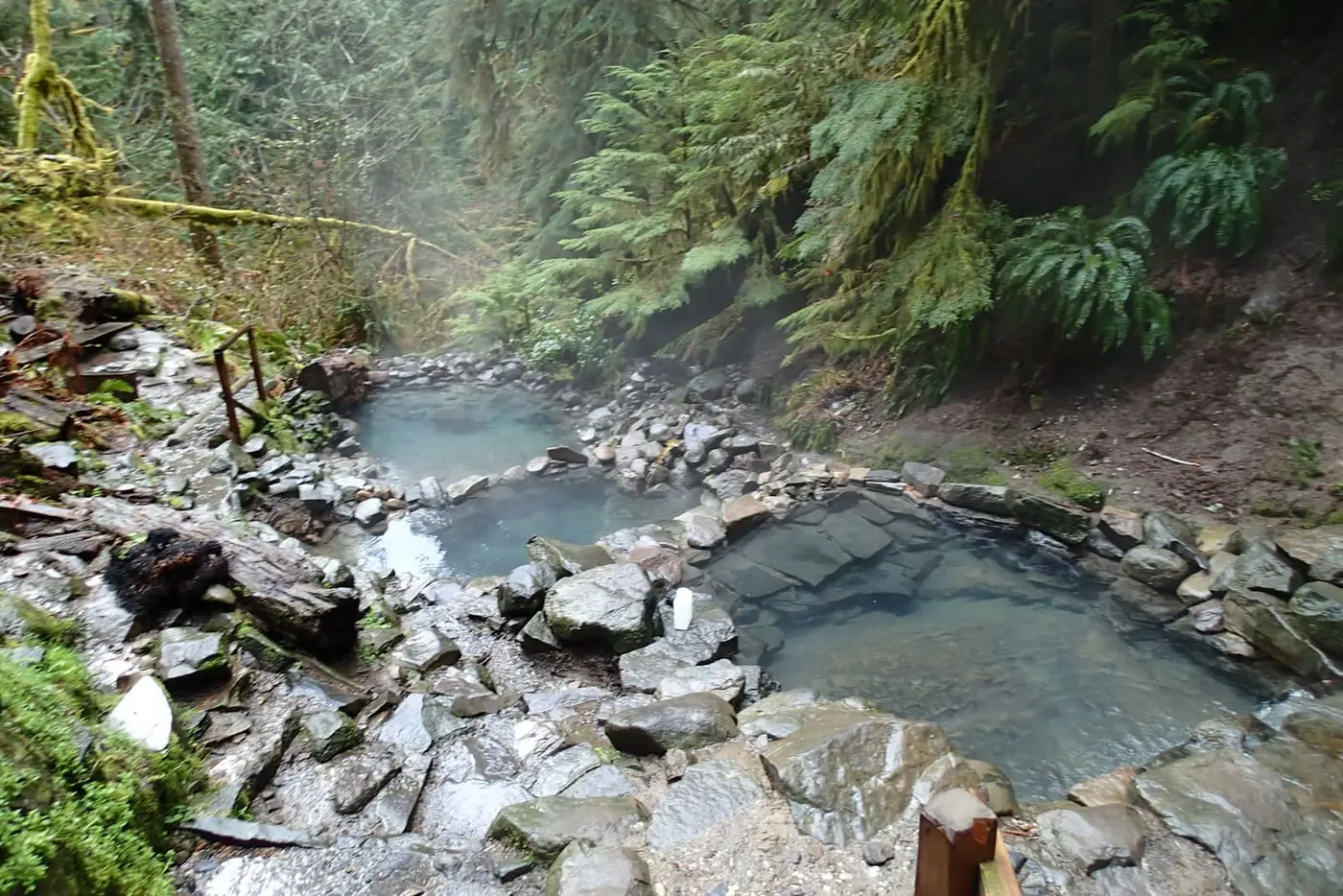 Steaming stone walled pools of Terwilliger Hot Springs in a mossy fern filled ravine