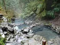 Steaming stone walled pools of Terwilliger Hot Springs in a mossy fern filled ravine