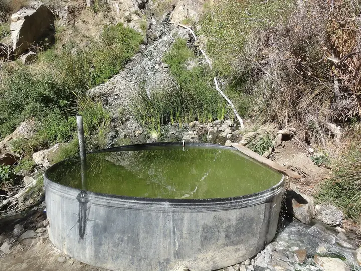 Metal soaking tub filled with green spring water on a brushy hillside at Willett Hot Springs