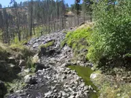 Green hot spring pool among rocks along Warm Spring Creek below burned forest at Council Mountain Hot Springs