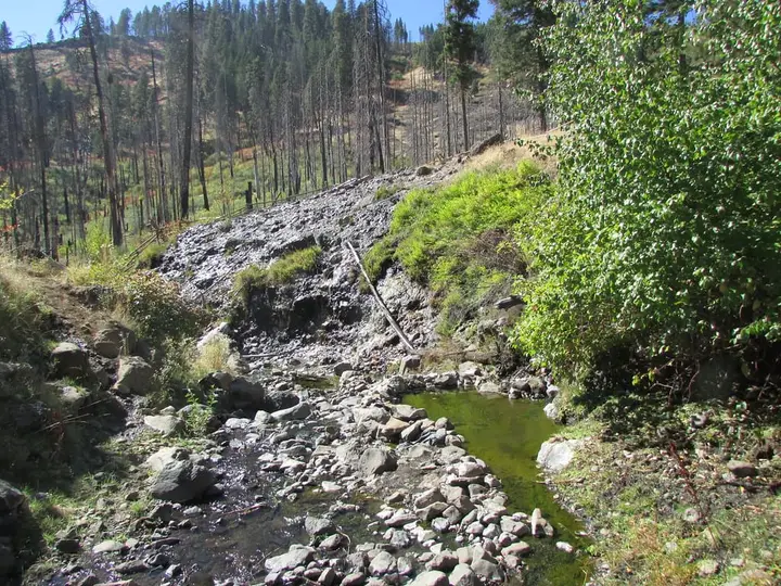 Green hot spring pool among rocks along Warm Spring Creek below burned forest at Council Mountain Hot Springs