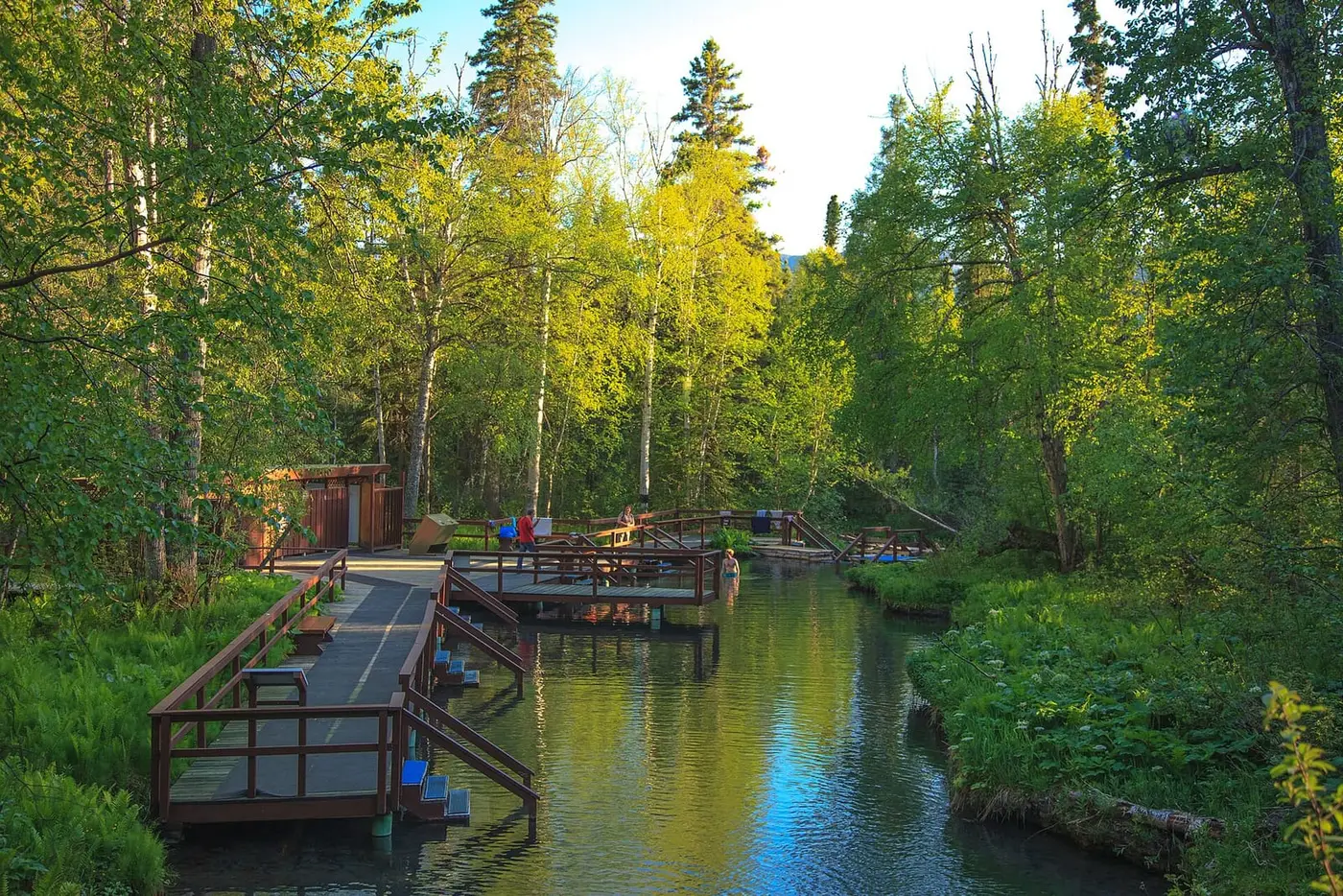 Wooden boardwalk and decks along the clear Alpha pool at Liard River Hot Springs in green forest