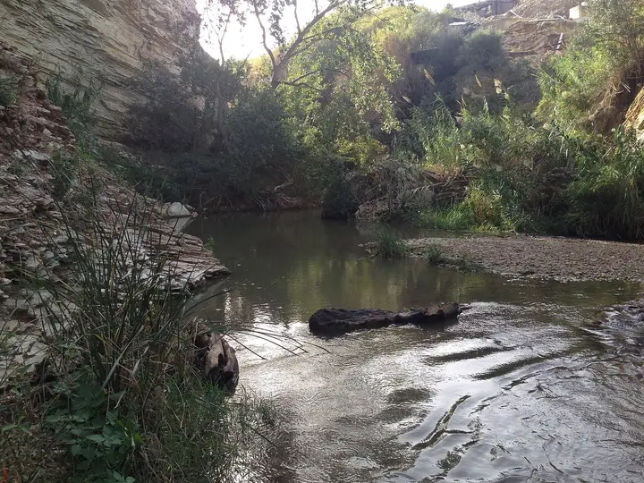 The Fiume Caldo flowing through a shady rocky gorge beside the free Segesta hot pools