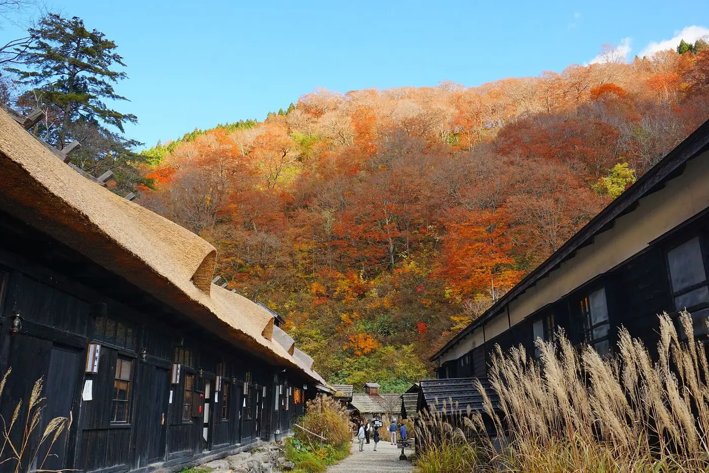 Thatched wooden lodge buildings of Tsurunoyu Onsen below a hillside of autumn foliage