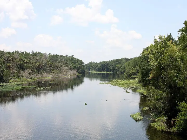 Alexander Springs Creek winding between wooded banks under a sky of white clouds