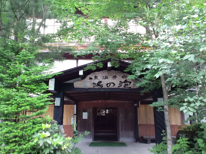 Wooden entrance of Awanoyu inn framed by green trees at Shirahone Onsen