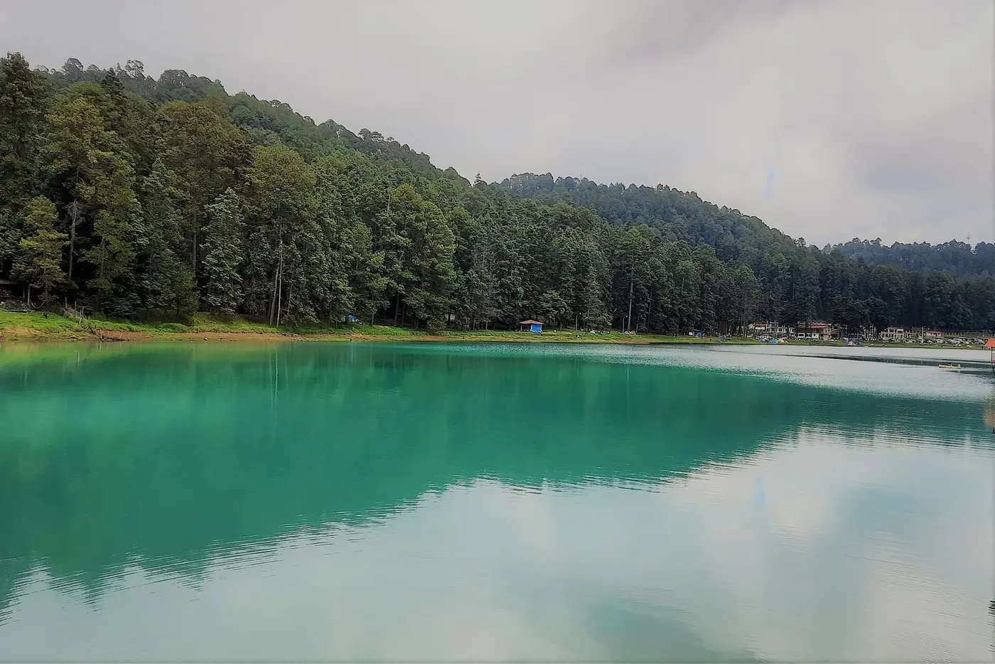 Turquoise water of Laguna Larga reflecting the pine forest in Los Azufres, Michoacán