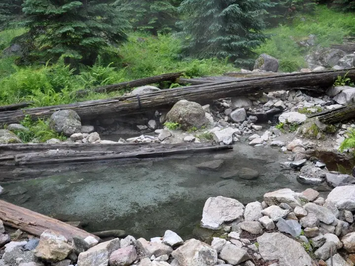 Clear rock lined pool framed by fallen logs and ferns at Stanley Hot Springs