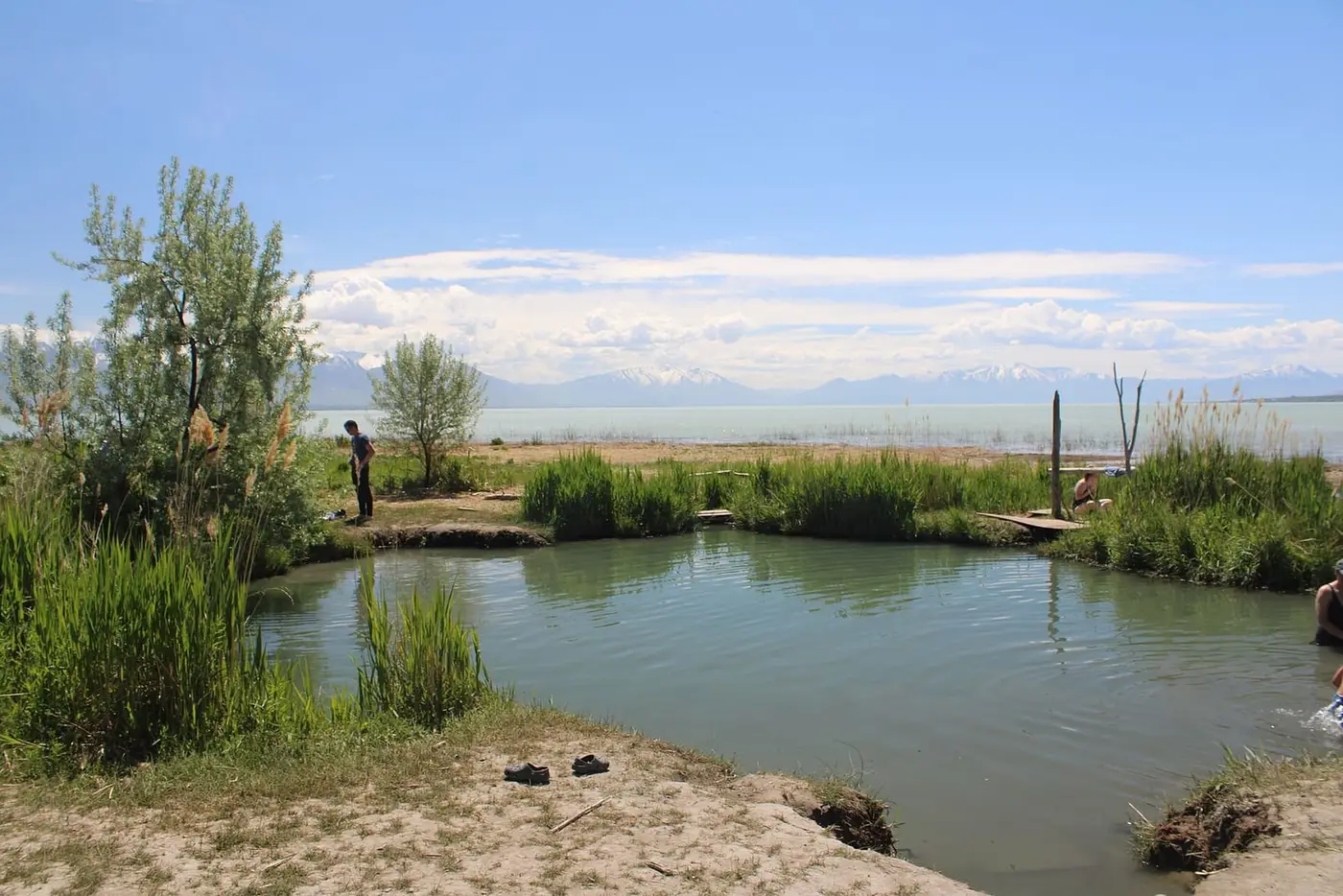 Reed lined warm pool at Saratoga Hot Springs on the shore of Utah Lake below snowy Wasatch peaks