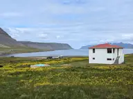 Meadow of yellow flowers with a white house and small blue pool at the head of Reykjafjörður