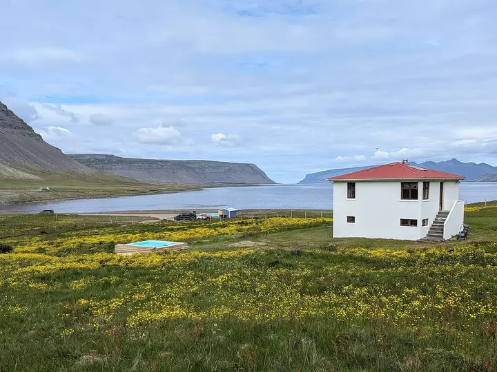 Meadow of yellow flowers with a white house and small blue pool at the head of Reykjafjörður