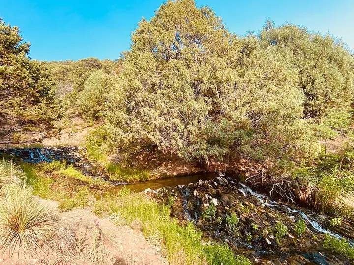 Small creek tumbling over rocks beneath juniper and pinyon trees at Valley View Hot Springs