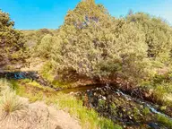 Small creek tumbling over rocks beneath juniper and pinyon trees at Valley View Hot Springs