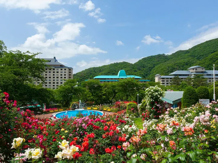Rose garden in bloom in front of the Hanamaki Onsen resort hotels and green hills