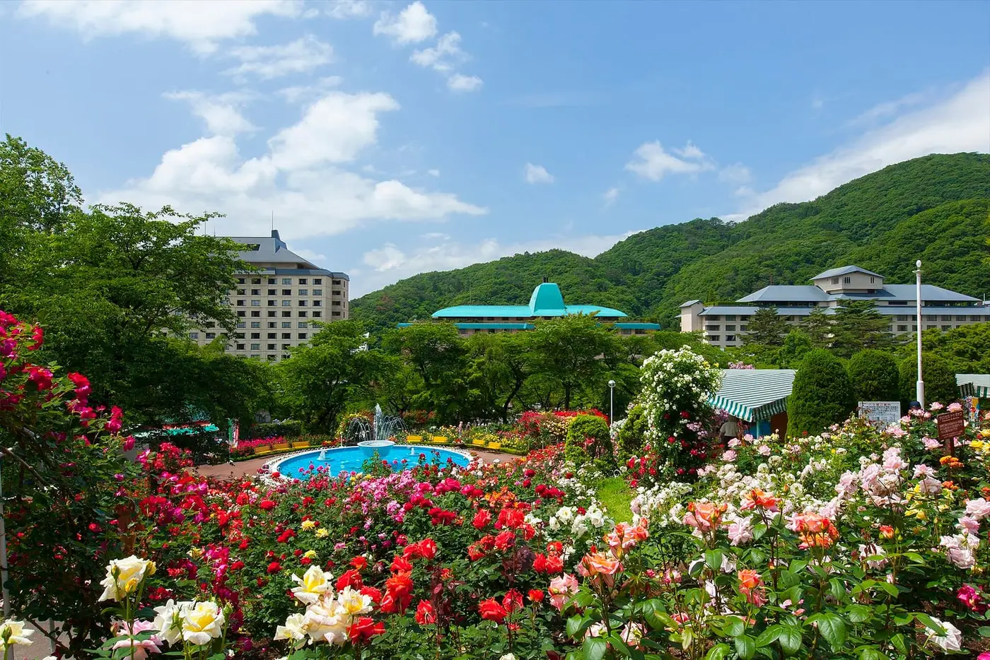 Rose garden in bloom in front of the Hanamaki Onsen resort hotels and green hills