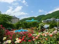 Rose garden in bloom in front of the Hanamaki Onsen resort hotels and green hills